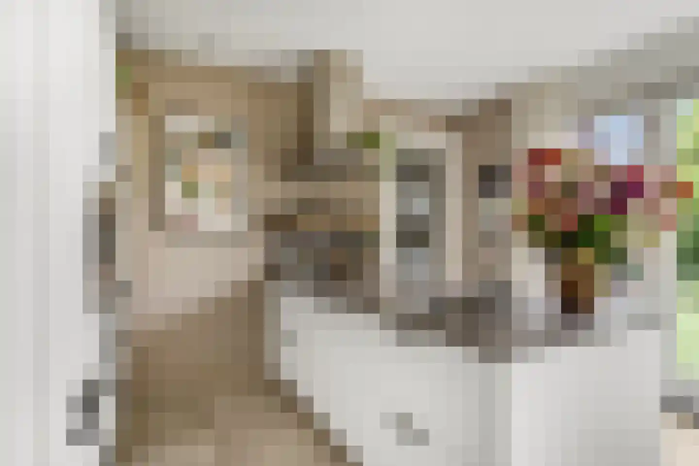 Karel Glastra van Loonstraat 14 Nijmegen thumbnail 17