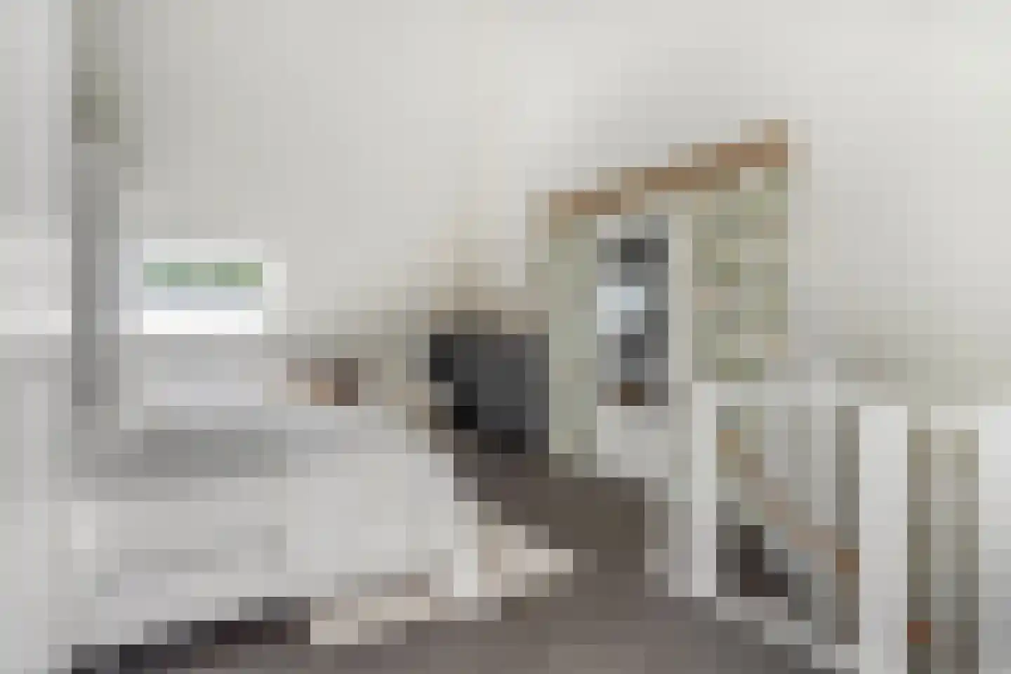 Karel Glastra van Loonstraat 14 Nijmegen thumbnail 38