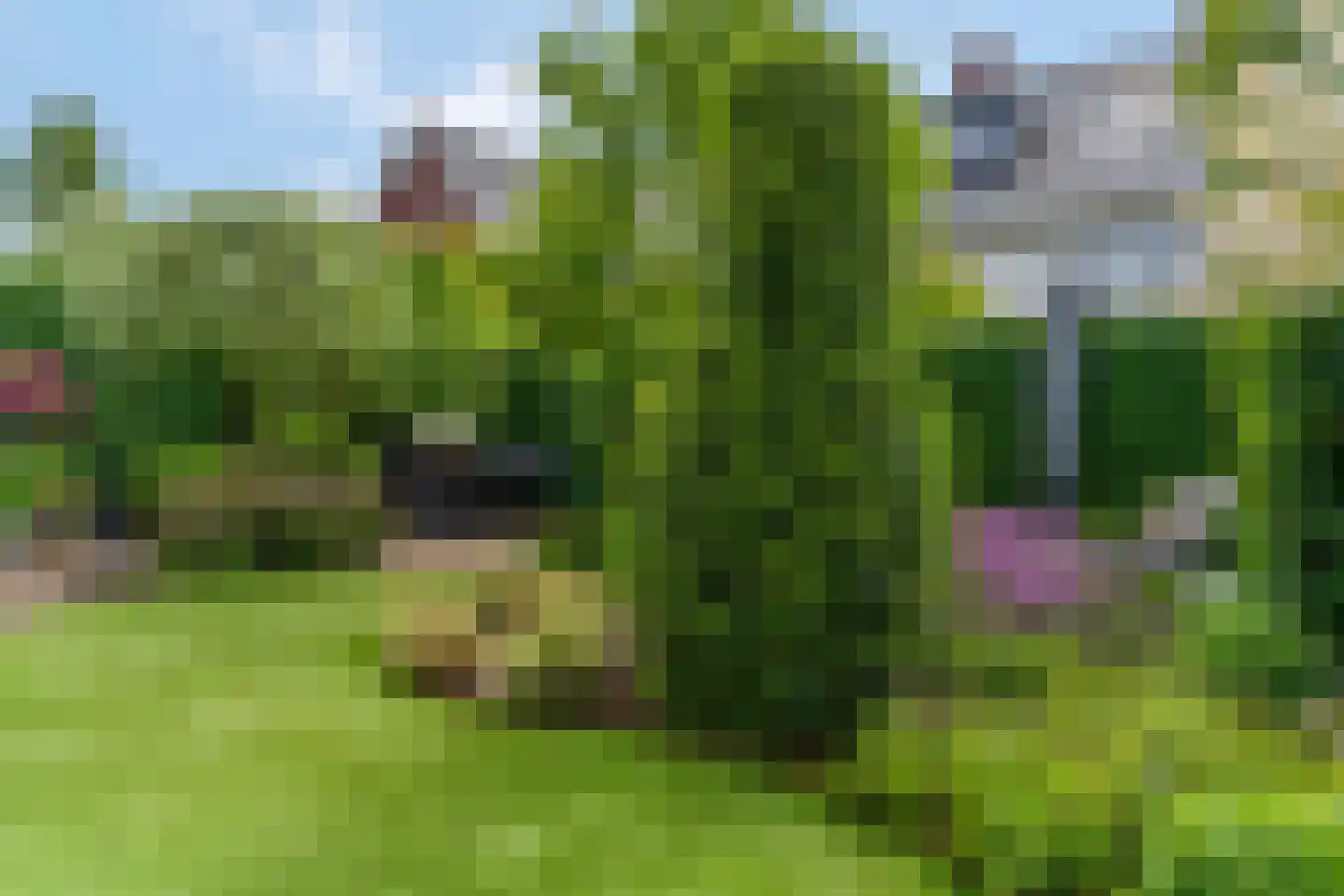 Karel Glastra van Loonstraat 14 Nijmegen thumbnail 44