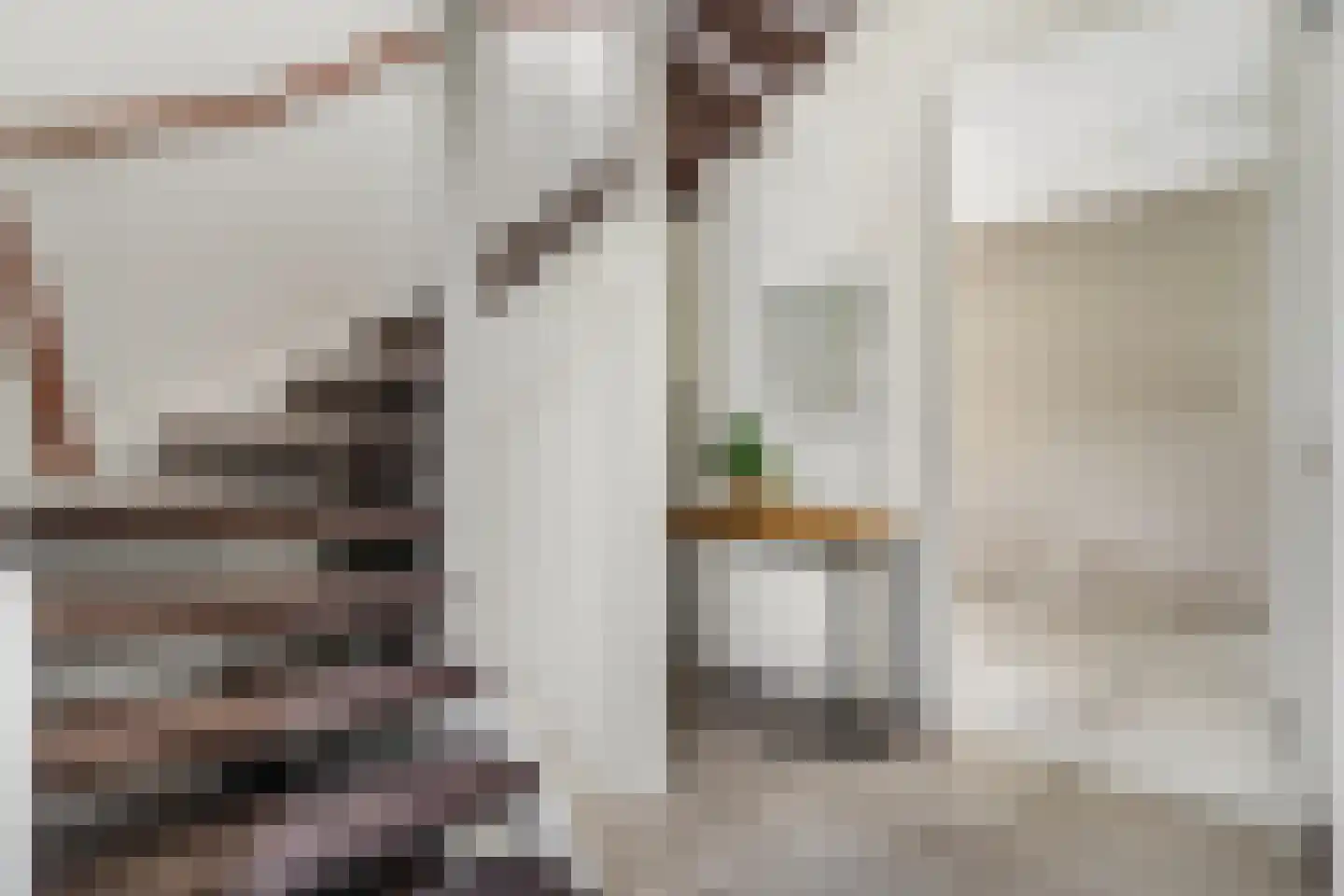 Karel Glastra van Loonstraat 14 Nijmegen thumbnail 5