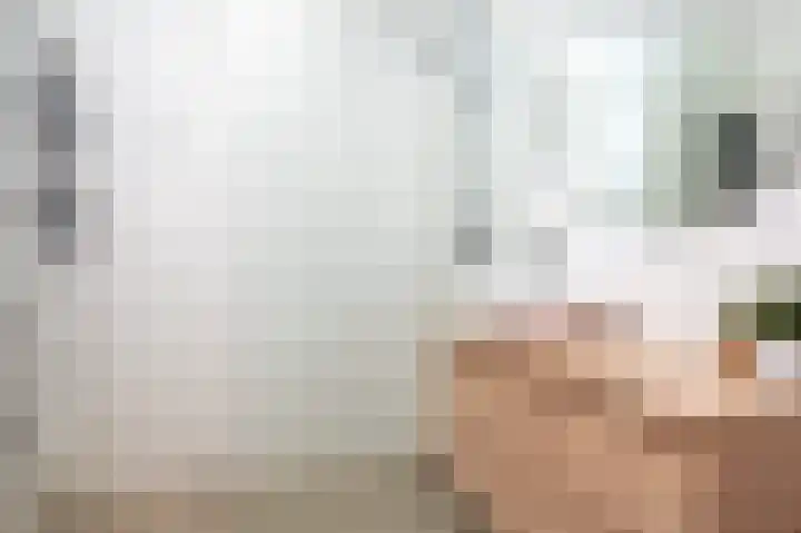 Karel Glastra van Loonstraat 18 Nijmegen thumbnail 36