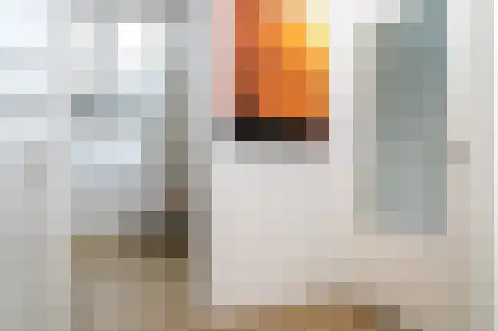 Karel Glastra van Loonstraat 18 Nijmegen thumbnail 48