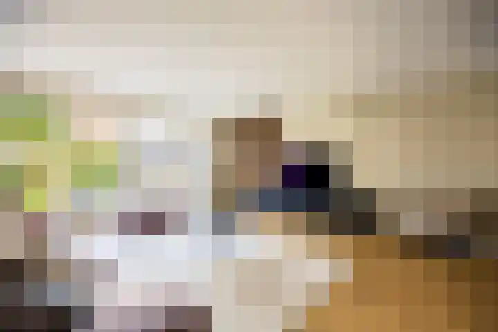 Karel Glastra van Loonstraat 25 Nijmegen thumbnail 19
