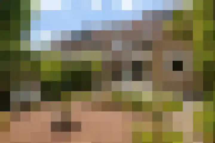 Karel J.C. Beckmanlaan 8 Zeist thumbnail 21