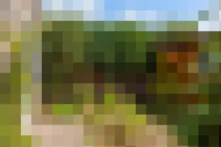 Karel J.C. Beckmanlaan 8 Zeist thumbnail 22