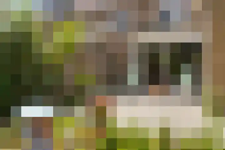 Karel J.C. Beckmanlaan 8 Zeist thumbnail 24