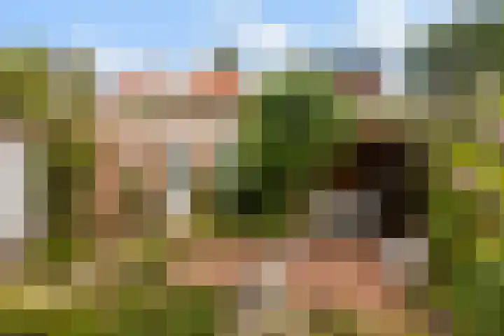 Karel J.C. Beckmanlaan 8 Zeist thumbnail 38