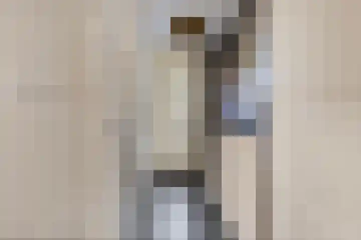 Karel Jonckheerestraat 12 Berkel en Rodenrijs thumbnail 11