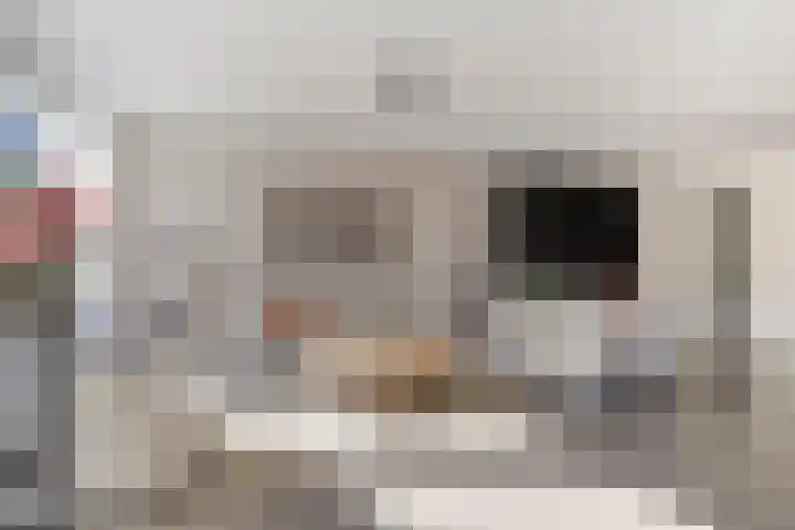 Karel Jonckheerestraat 12 Berkel en Rodenrijs thumbnail 13