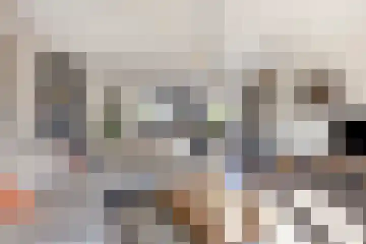 Karel Jonckheerestraat 12 Berkel en Rodenrijs thumbnail 16