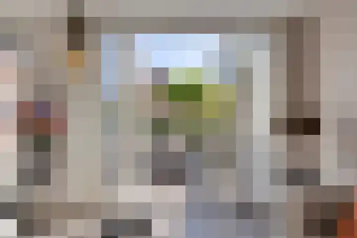 Karel Jonckheerestraat 12 Berkel en Rodenrijs thumbnail 18