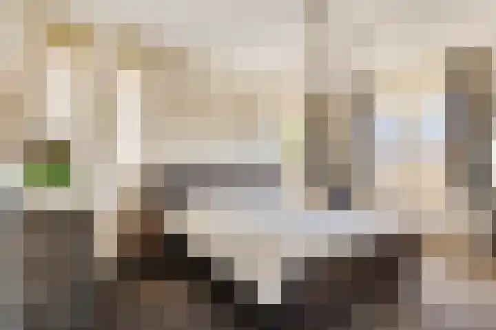 Karel Jonckheerestraat 12 Berkel en Rodenrijs thumbnail 23