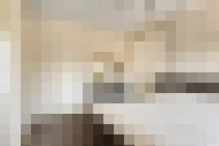 Karel Jonckheerestraat 12 Berkel en Rodenrijs thumbnail 26