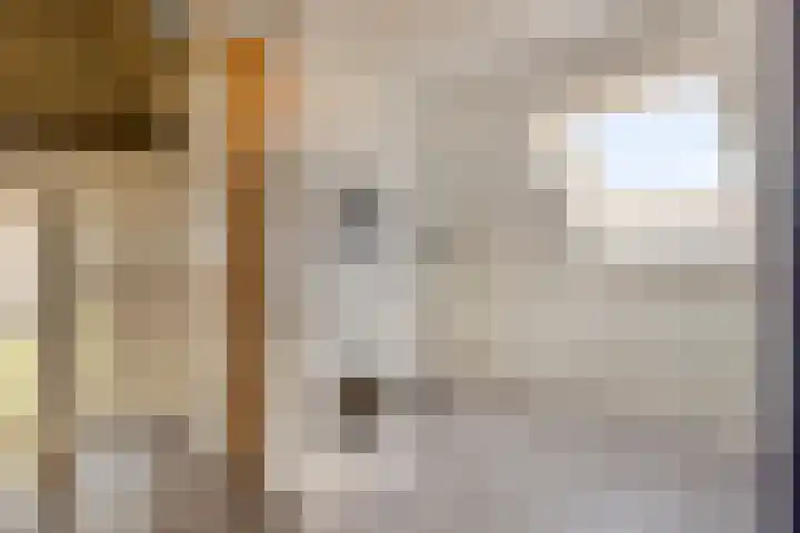 Karel Jonckheerestraat 12 Berkel en Rodenrijs thumbnail 32