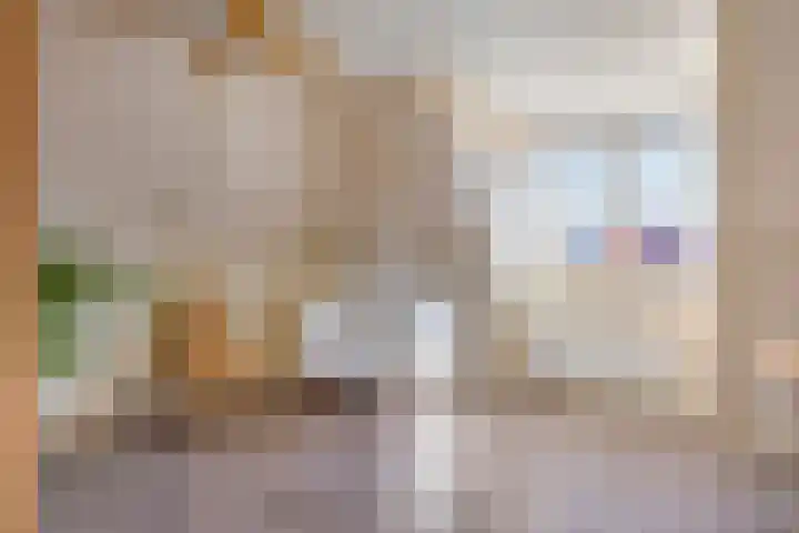Karel Jonckheerestraat 12 Berkel en Rodenrijs thumbnail 33