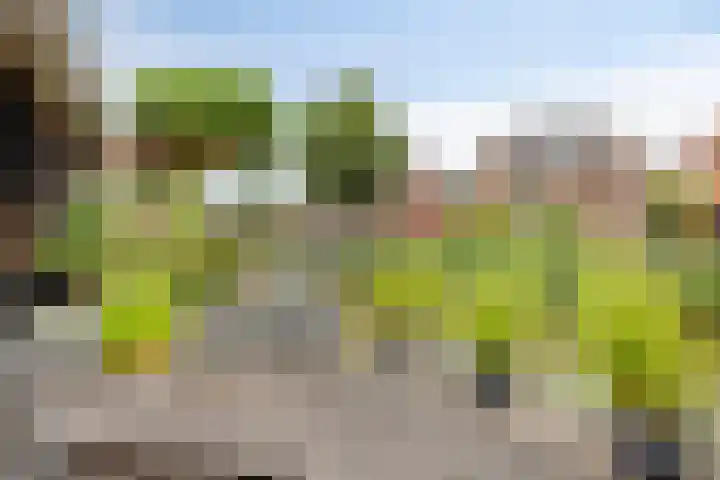 Karel Jonckheerestraat 12 Berkel en Rodenrijs thumbnail 35