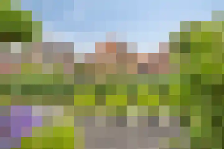 Karel Jonckheerestraat 12 Berkel en Rodenrijs thumbnail 36