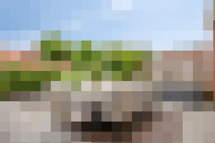 Karel Jonckheerestraat 12 Berkel en Rodenrijs thumbnail 38