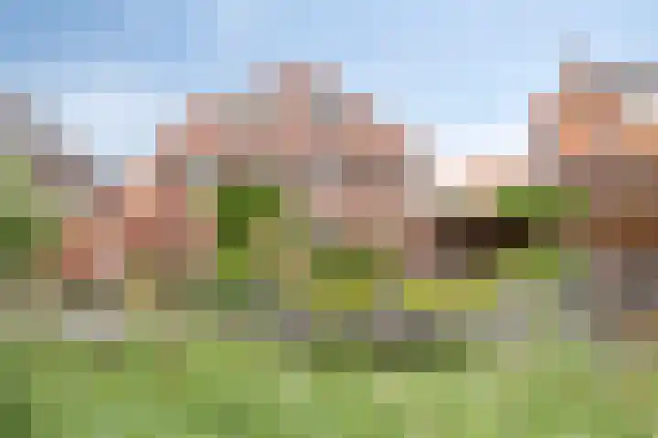 Karel Jonckheerestraat 12 Berkel en Rodenrijs thumbnail 39