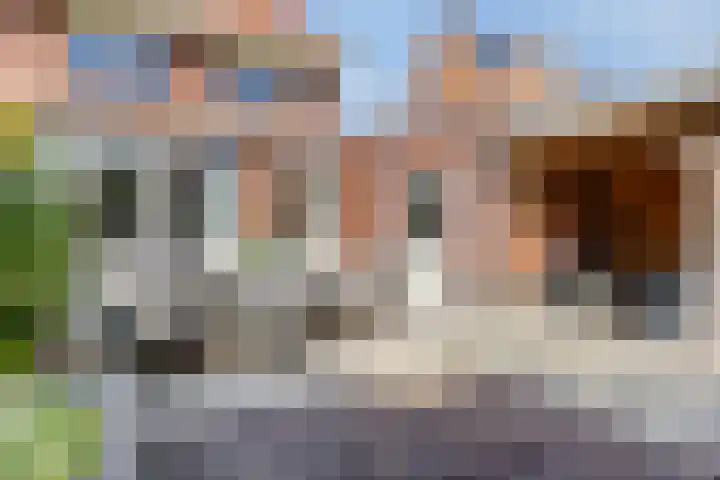 Karel Jonckheerestraat 12 Berkel en Rodenrijs thumbnail 41