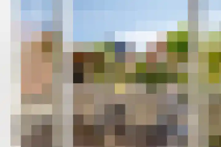 Karel Jonckheerestraat 12 Berkel en Rodenrijs thumbnail 42
