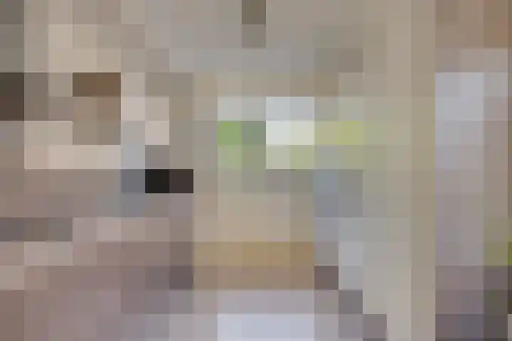 Karel Jonckheerestraat 12 Berkel en Rodenrijs thumbnail 6