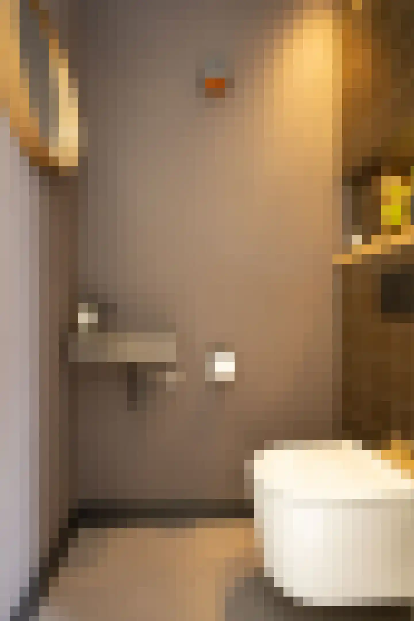 Karel Jonckheerestraat 25 Berkel en Rodenrijs thumbnail 12