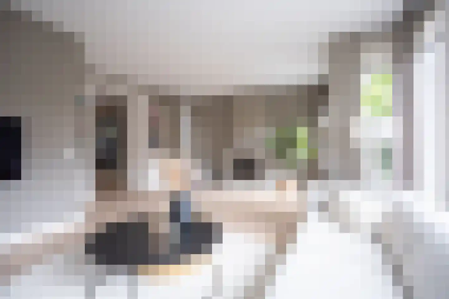 Karel Jonckheerestraat 25 Berkel en Rodenrijs thumbnail 15