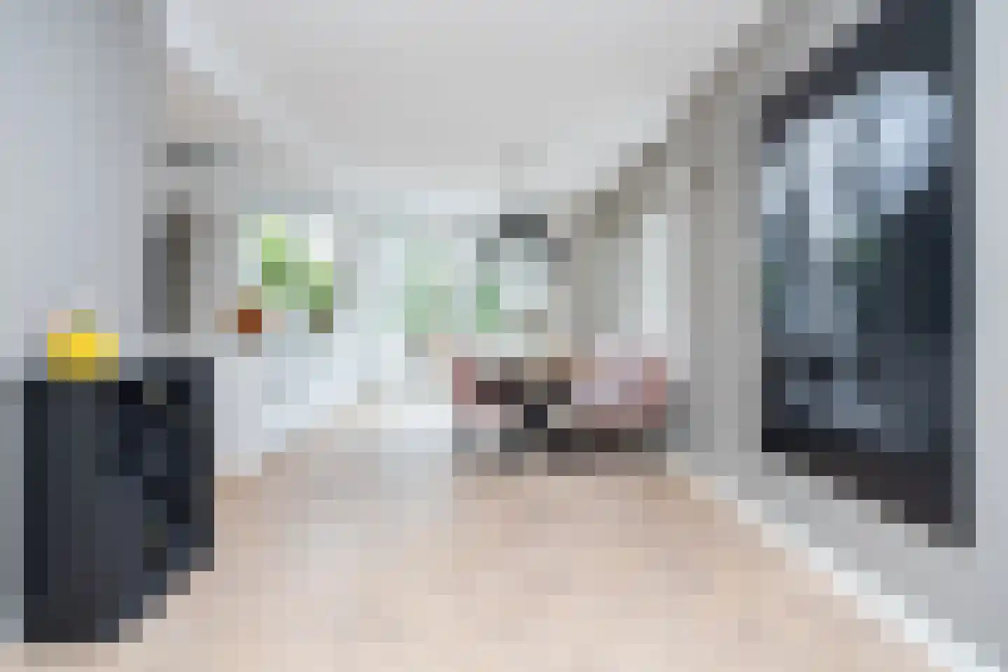 Karel Jonckheerestraat 25 Berkel en Rodenrijs thumbnail 22