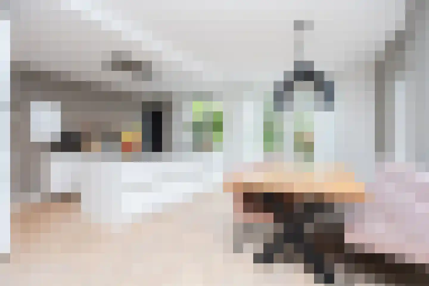 Karel Jonckheerestraat 25 Berkel en Rodenrijs thumbnail 24