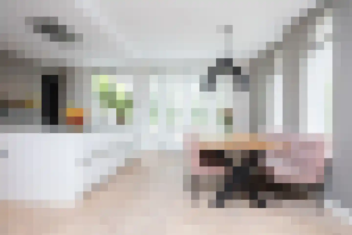 Karel Jonckheerestraat 25 Berkel en Rodenrijs thumbnail 27