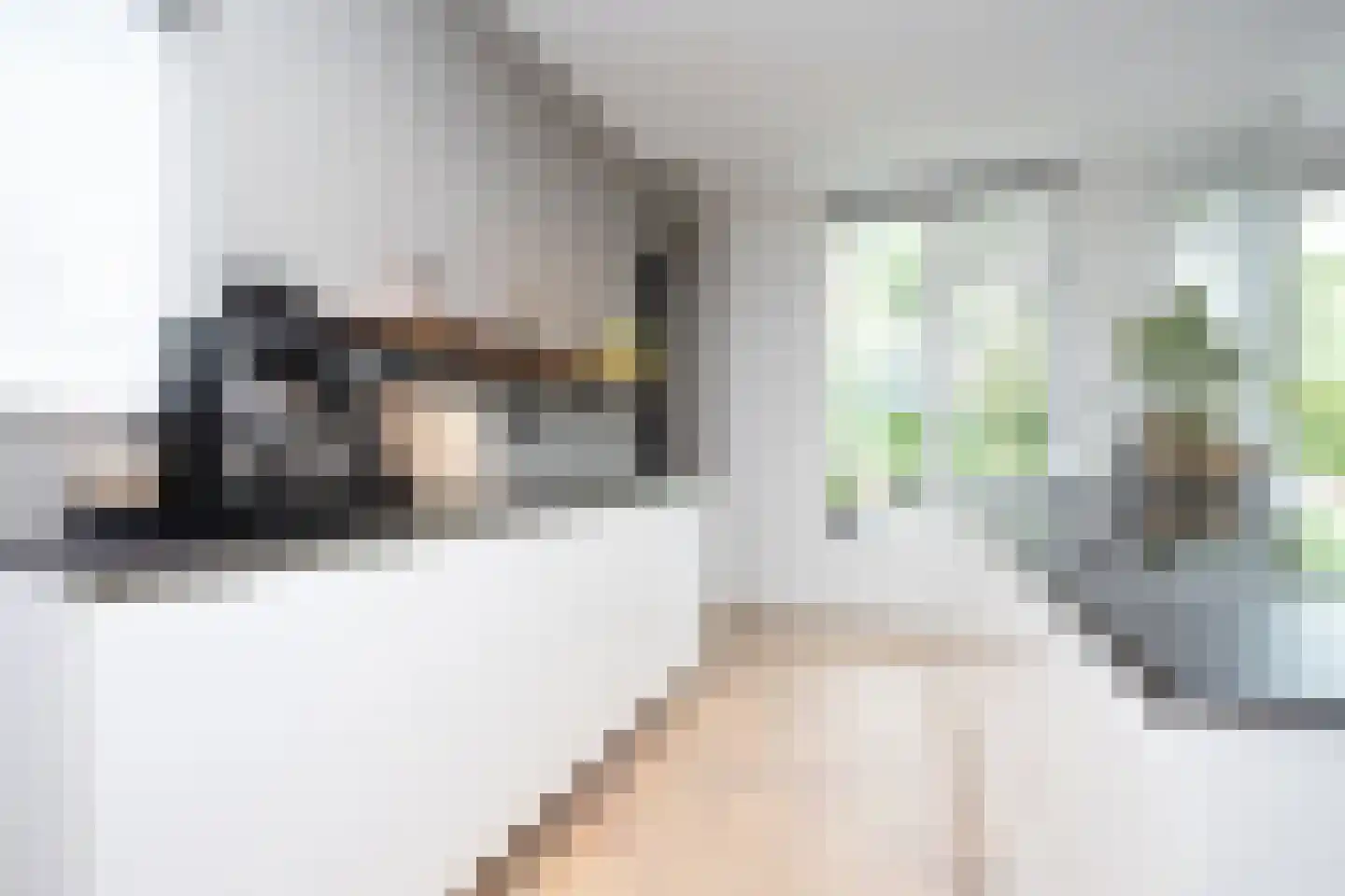 Karel Jonckheerestraat 25 Berkel en Rodenrijs thumbnail 31