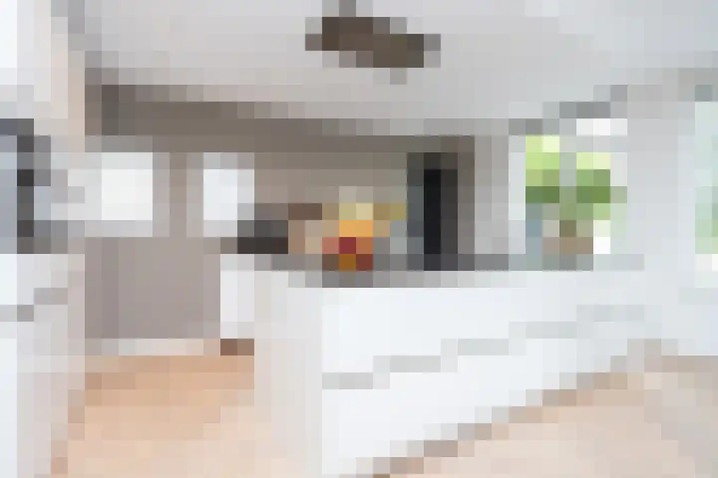 Karel Jonckheerestraat 25 Berkel en Rodenrijs thumbnail 33