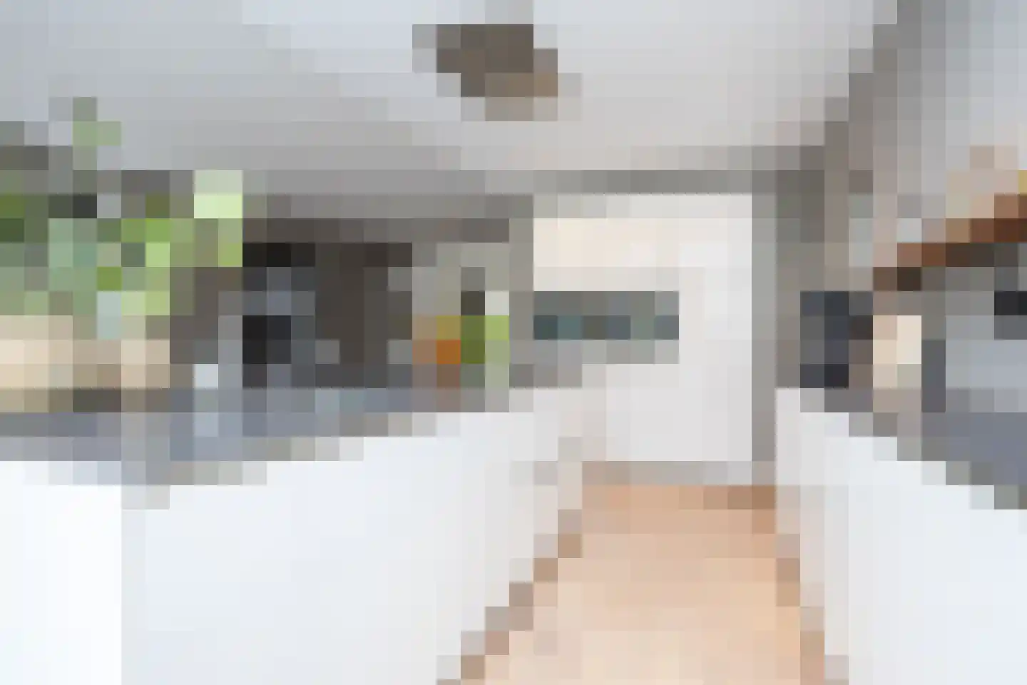 Karel Jonckheerestraat 25 Berkel en Rodenrijs thumbnail 34