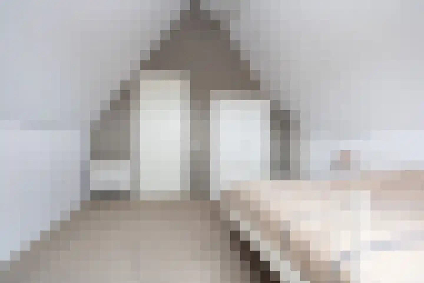 Karel Jonckheerestraat 25 Berkel en Rodenrijs thumbnail 51