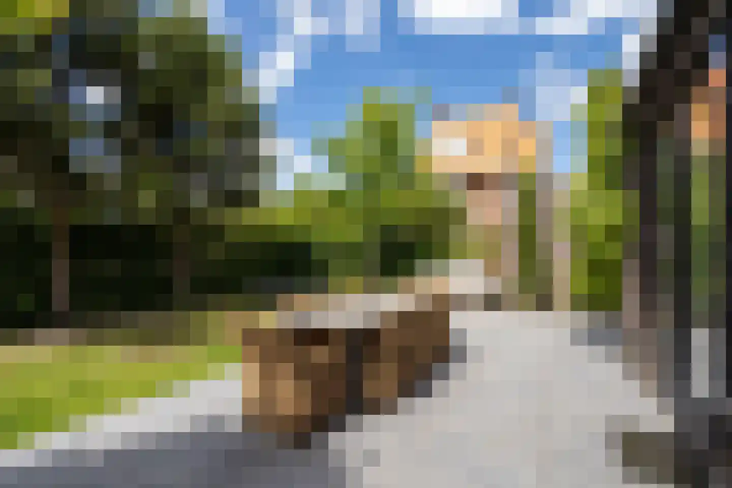 Karel Jonckheerestraat 25 Berkel en Rodenrijs thumbnail 57