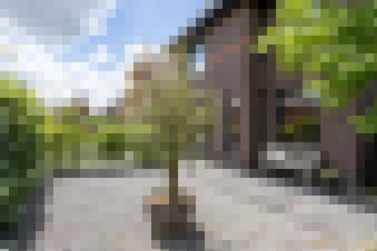 Karel Jonckheerestraat 25 Berkel en Rodenrijs thumbnail 6