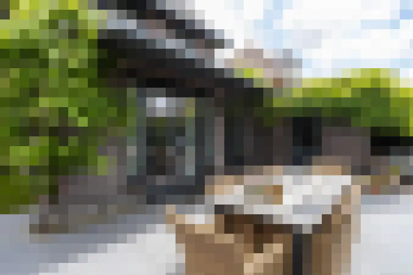 Karel Jonckheerestraat 25 Berkel en Rodenrijs thumbnail 61