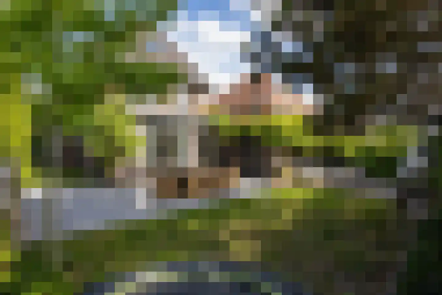 Karel Jonckheerestraat 25 Berkel en Rodenrijs thumbnail 64