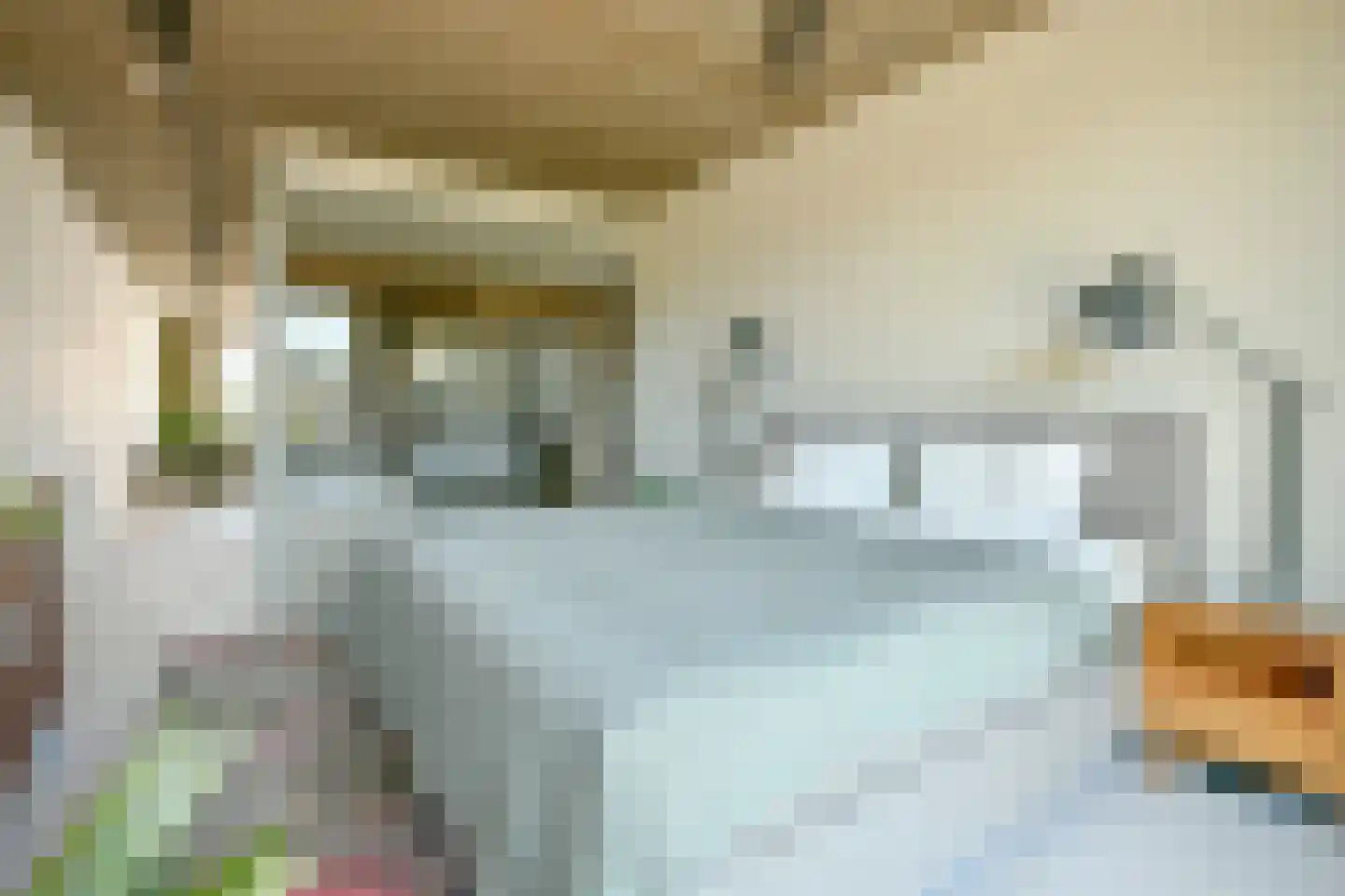 Karel Klinkenbergstraat 1 F Amsterdam thumbnail 18