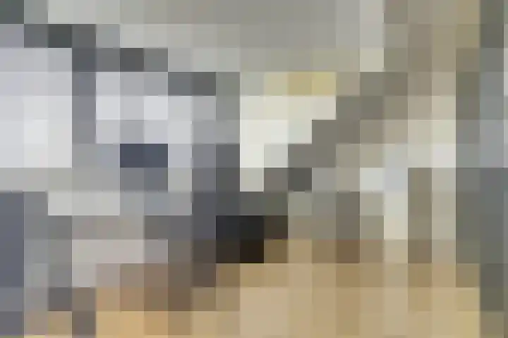 Karel Lotsystraat 30 Gouda thumbnail 32