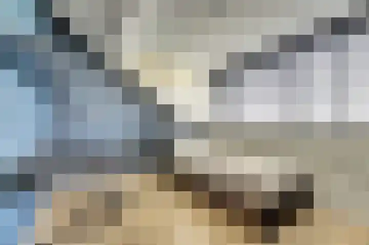Karel Lotsystraat 30 Gouda thumbnail 34