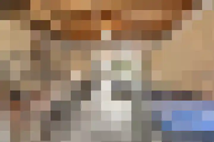 Karel Lotsystraat 30 Gouda thumbnail 39