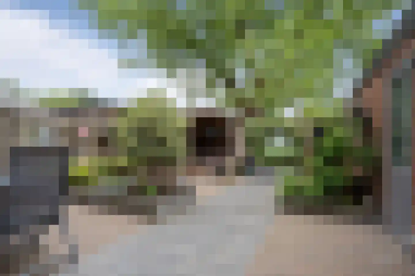 Karel Martèlstraat 109 Wijk bij Duurstede thumbnail 18