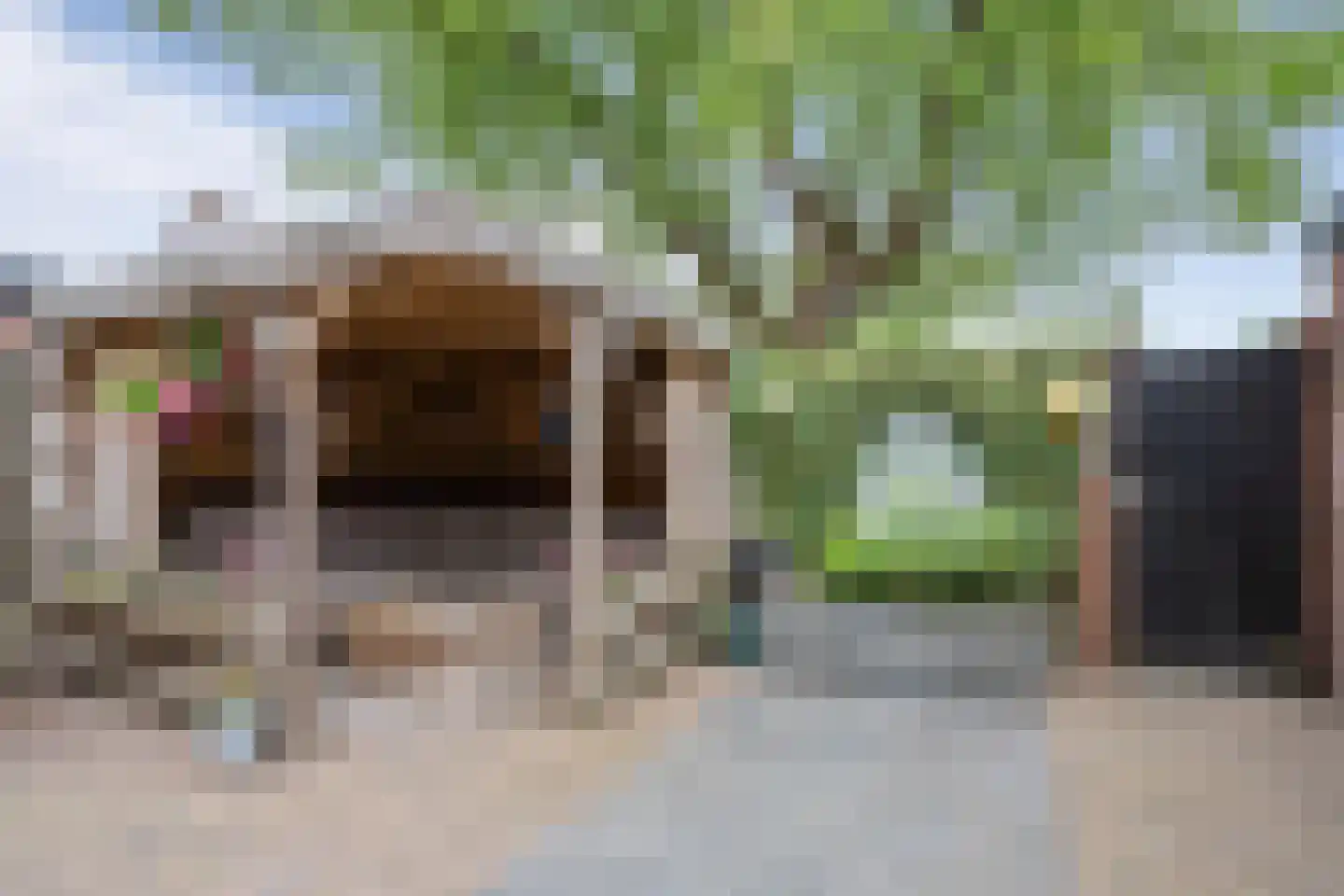 Karel Martèlstraat 109 Wijk bij Duurstede thumbnail 20