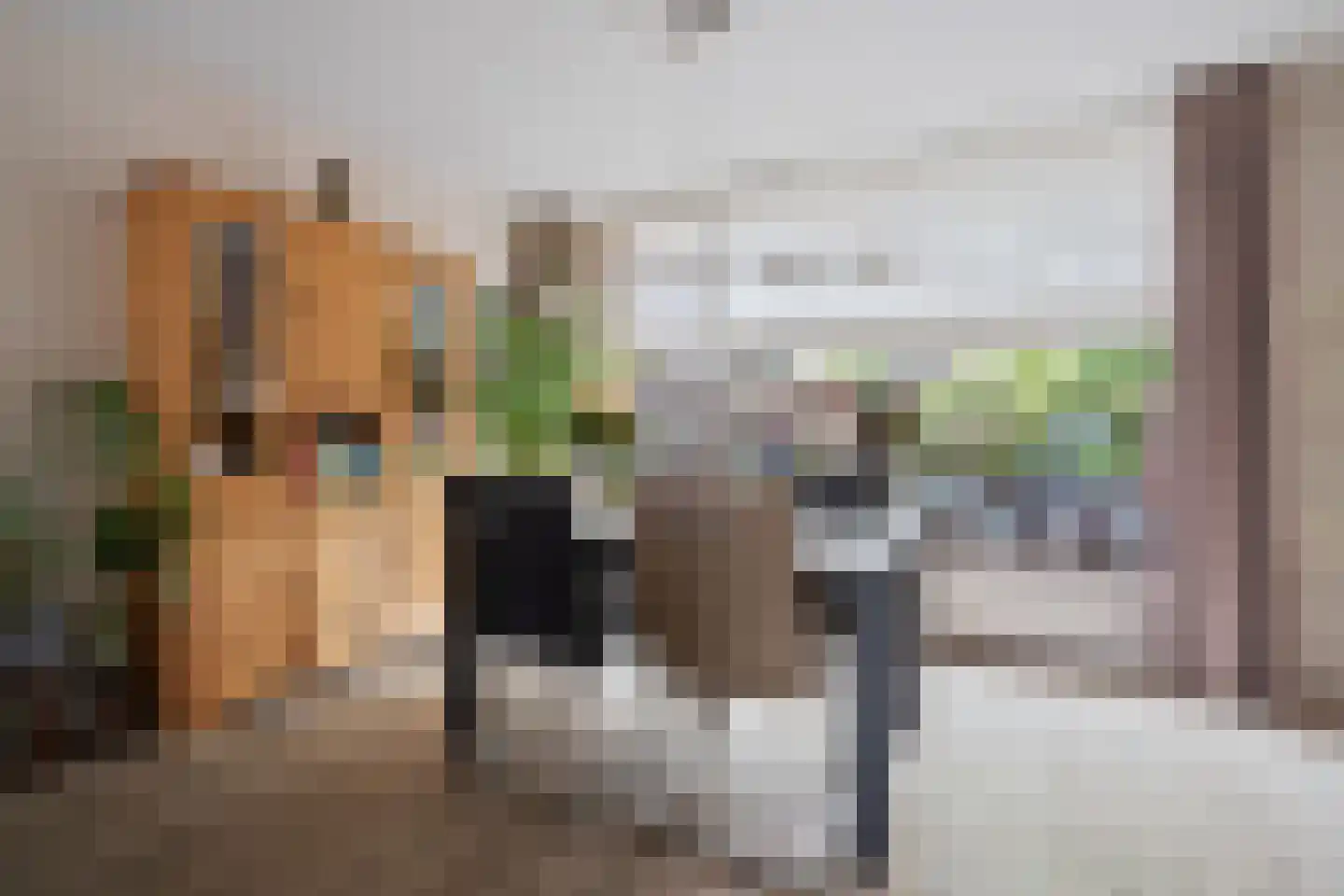 Karel Martèlstraat 109 Wijk bij Duurstede thumbnail 7