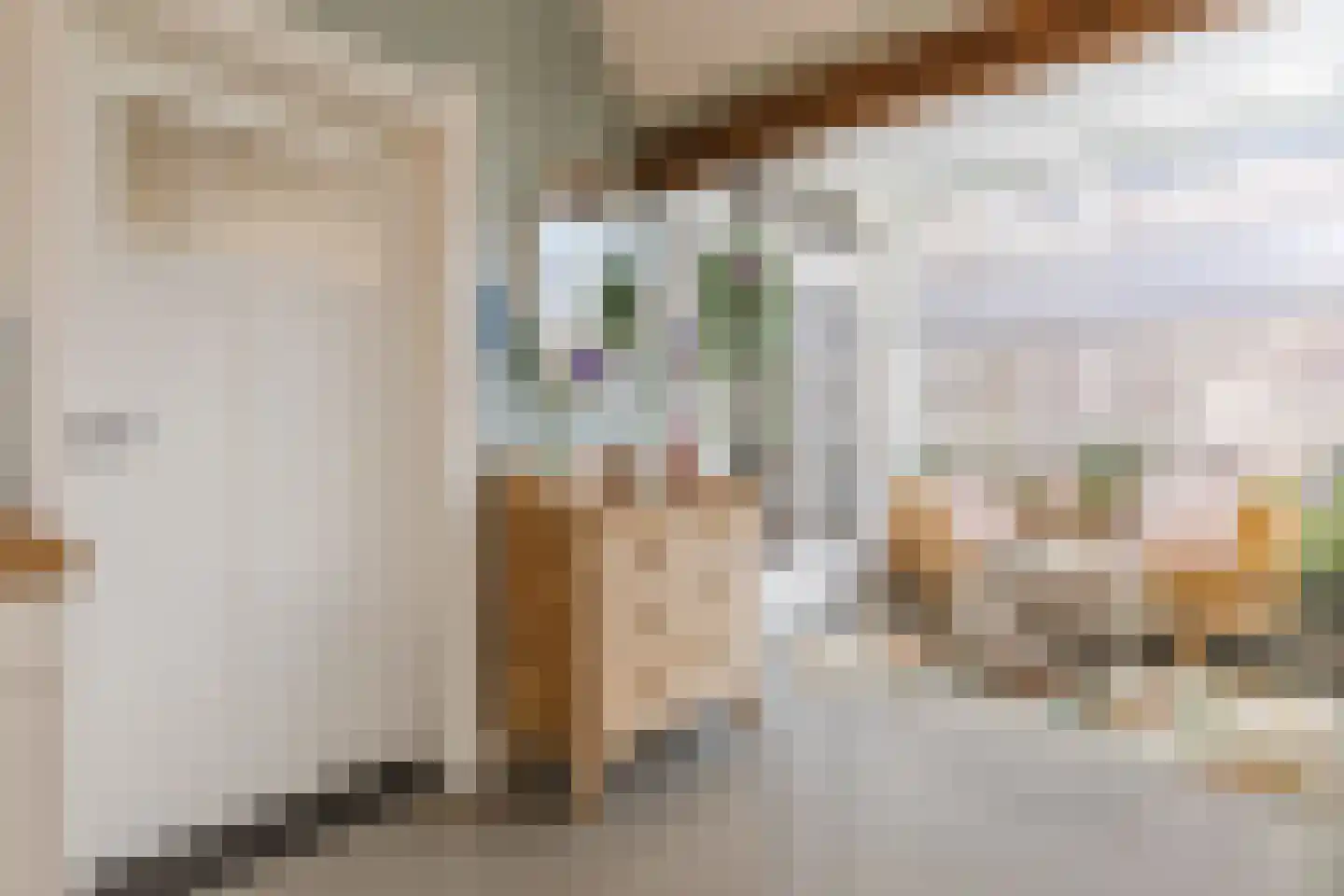 Karel Mollenstraat Noord 13 Valkenswaard thumbnail 19