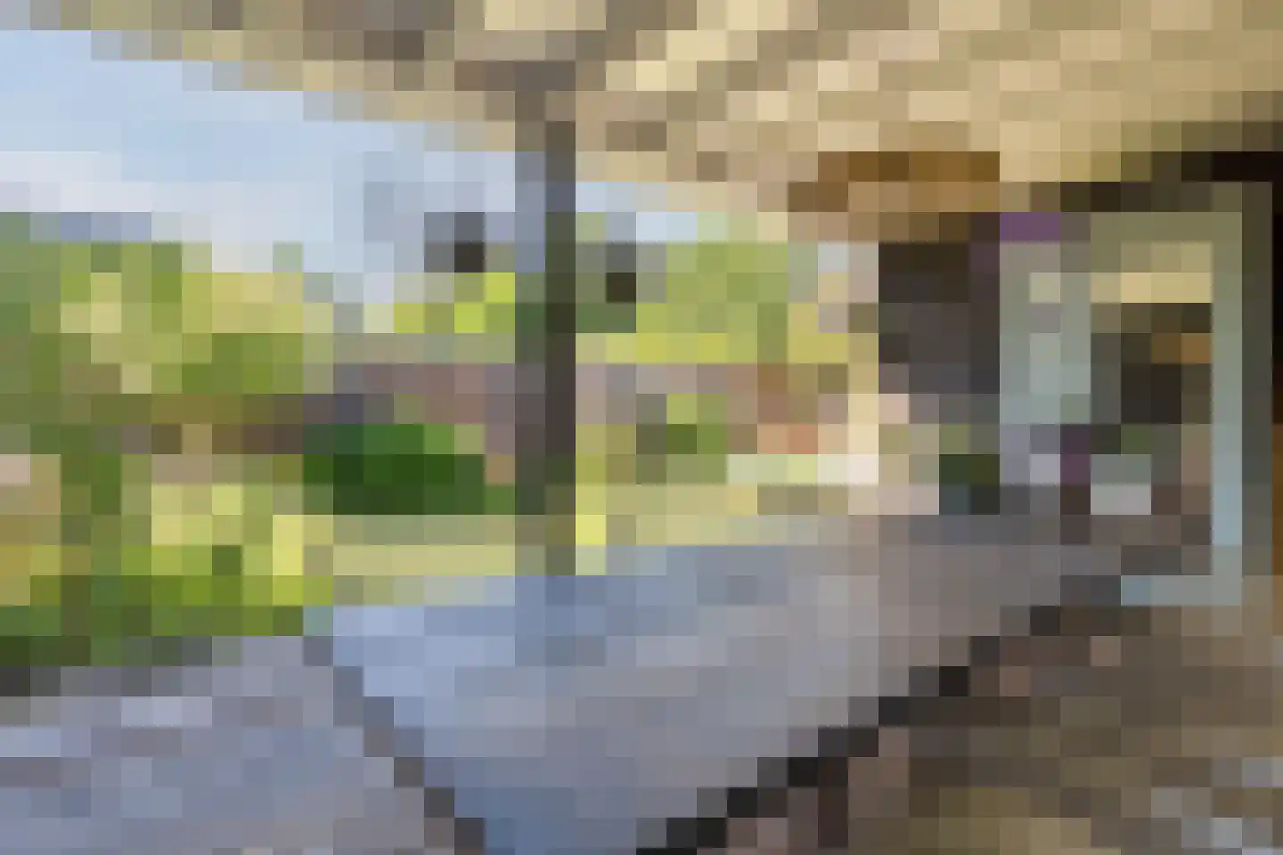 Karel Mollenstraat Noord 13 Valkenswaard thumbnail 4