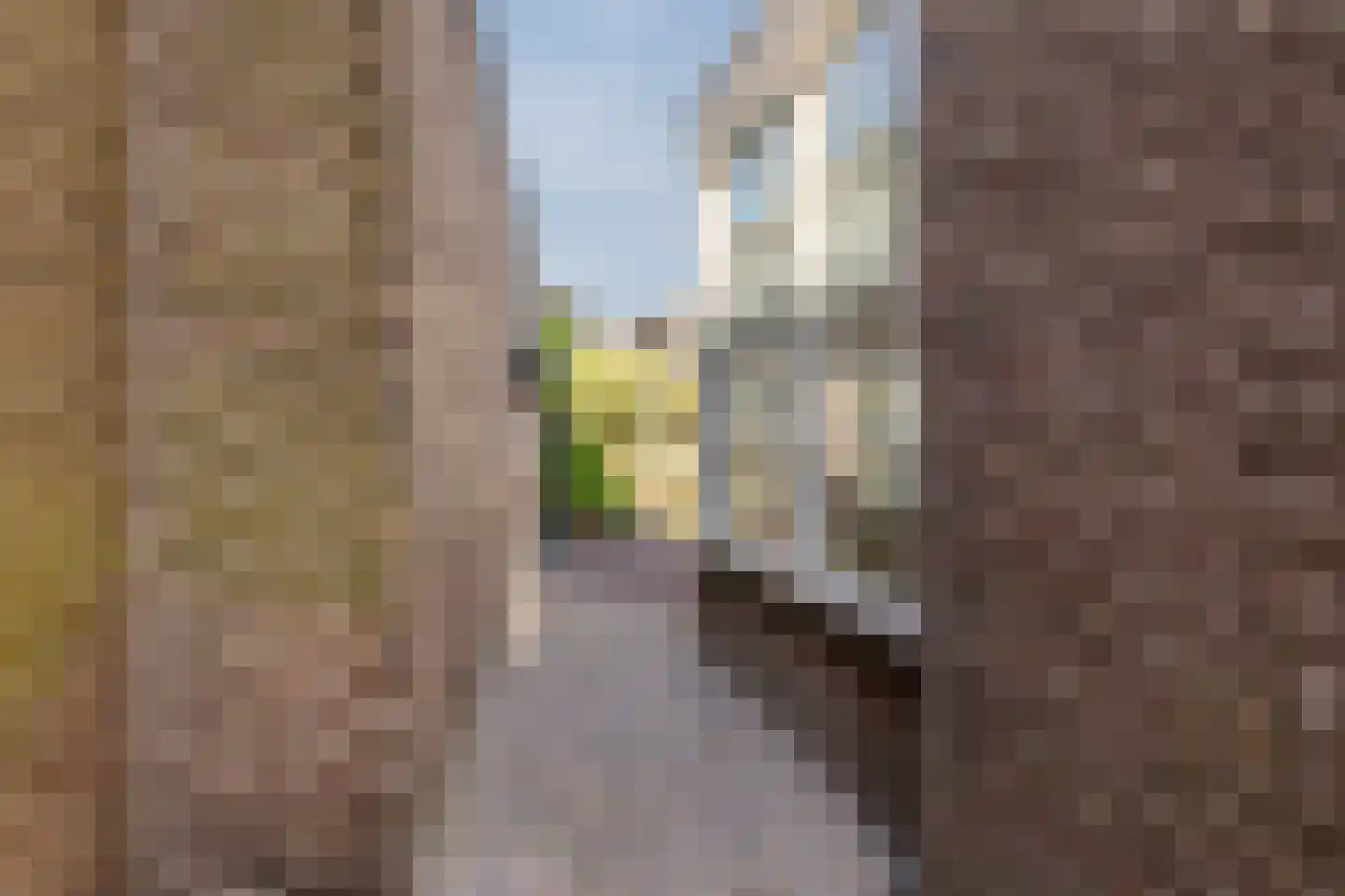Karel Mollenstraat Noord 13 Valkenswaard thumbnail 41