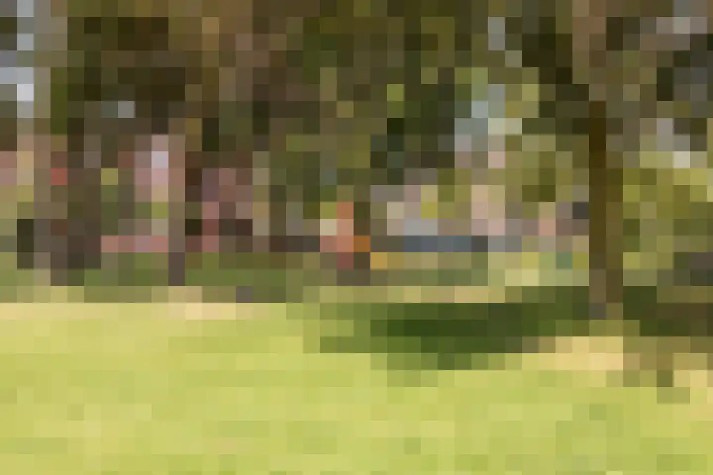 Karel Mollenstraat Noord 13 Valkenswaard thumbnail 45